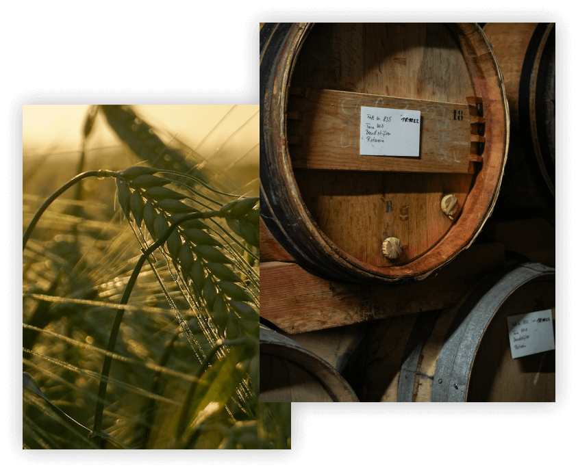 Single Malt Whisky 11